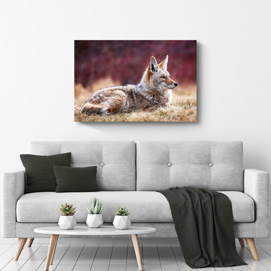 Wild Coyote in the Forest Canvas Wall Art