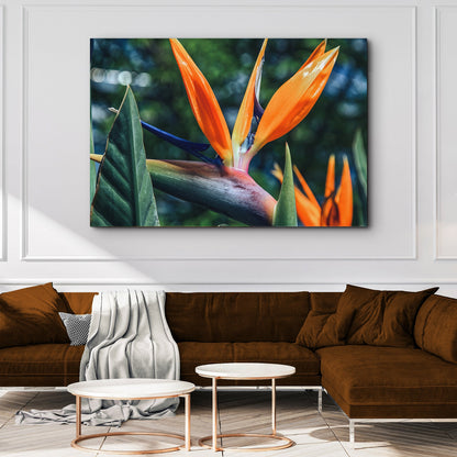 Exotic Plumage Bird of Paradise Canvas Wall Art