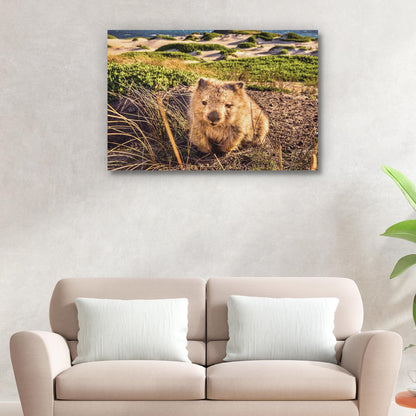 Wombat on the Grass  Canvas Wall Art in the Forest