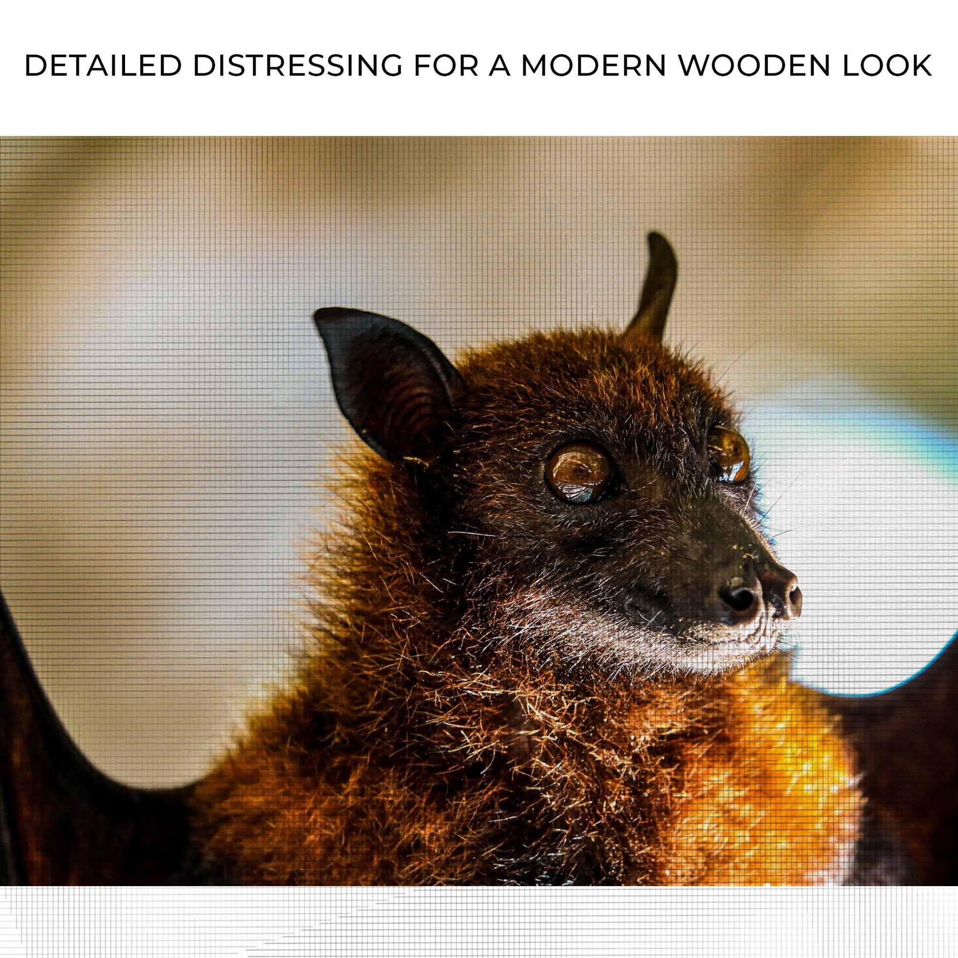 Forest-Dwelling Long-Eared Bat Canvas Décor