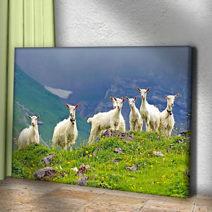 Attentive Mountain Goats  Canvas Wall Art