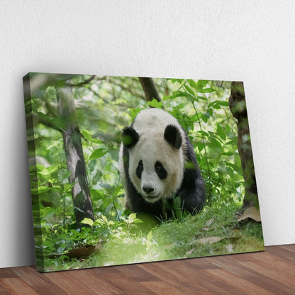 Panda Strolling in the Forest  Canvas Wall Art