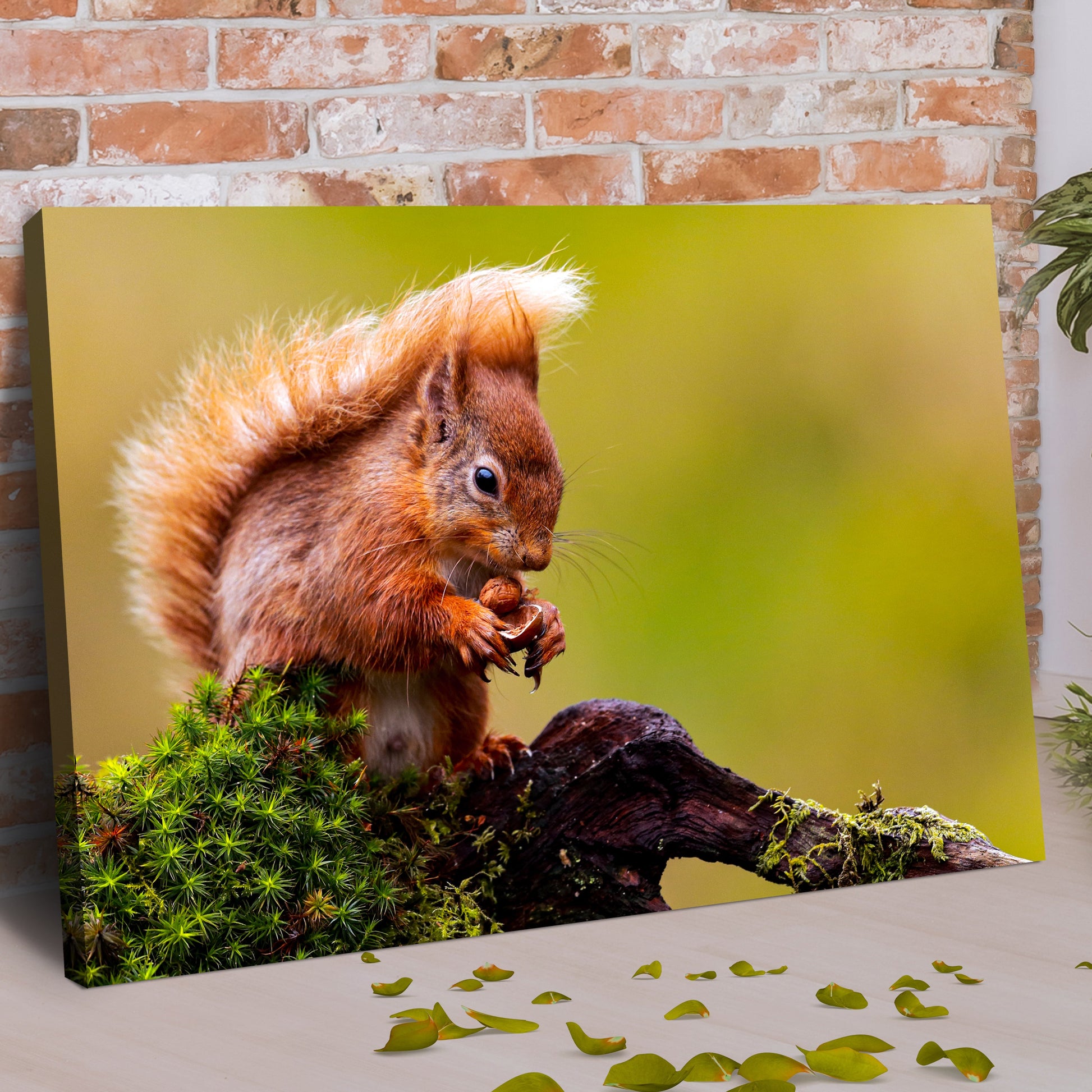 Canvas Wall Art  Squirrel's Daily Routine in the Forest