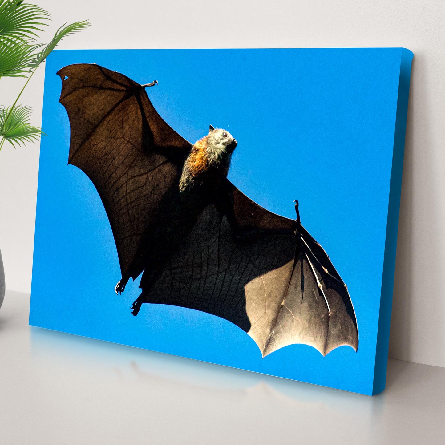 Aerial Bat in Its Natural Habitat Canvas