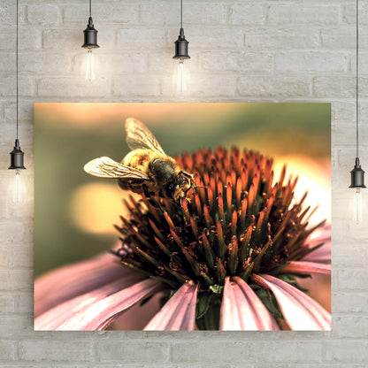 coneflower bliss bee canvas wall art