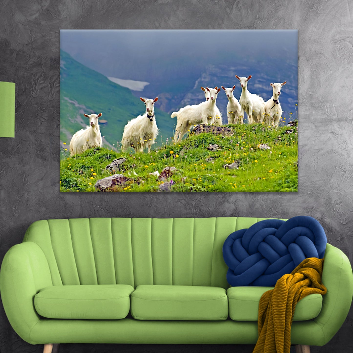 Attentive Mountain Goats  Canvas Wall Art