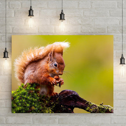 Canvas Wall Art  Squirrel's Daily Routine in the Forest