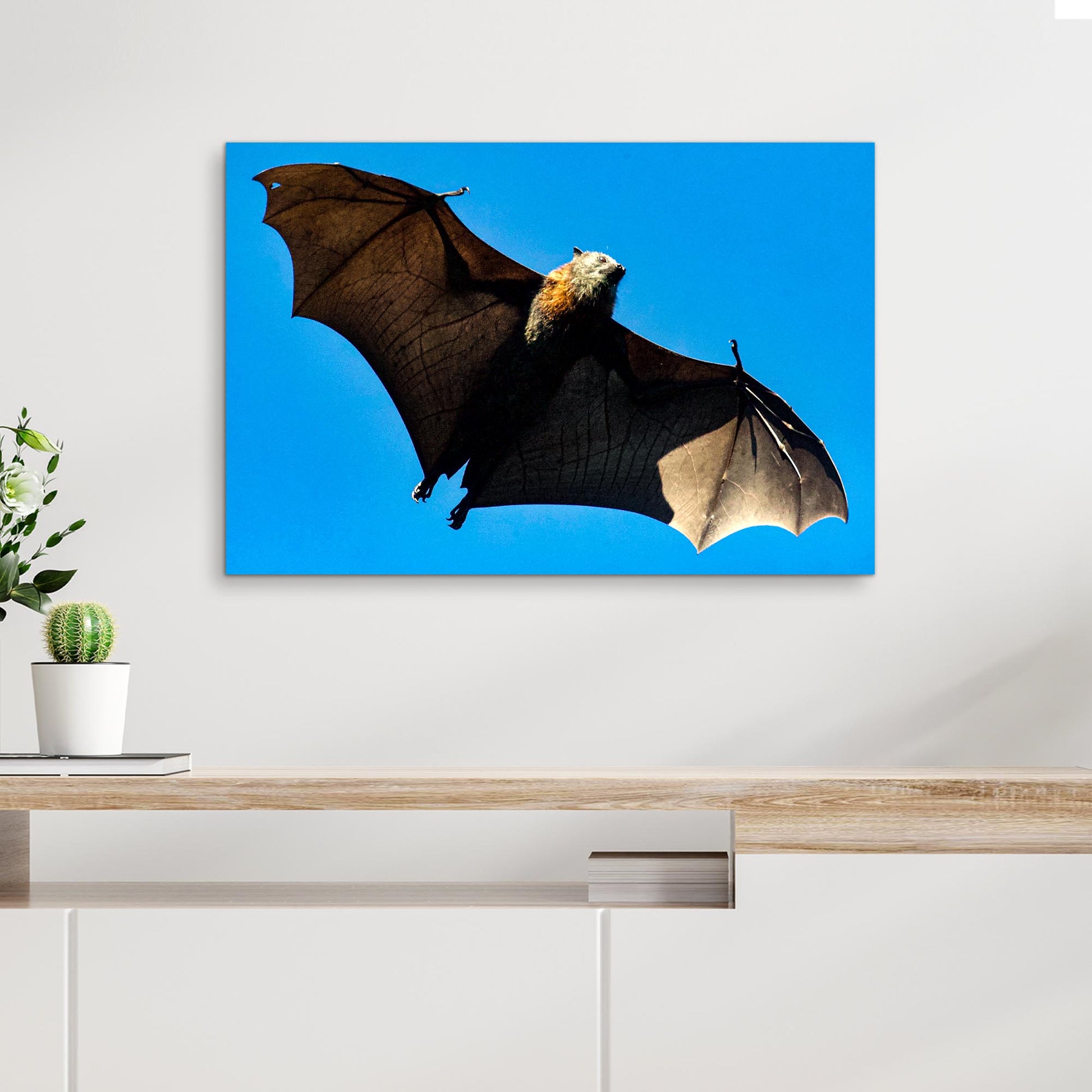 Aerial Bat in Its Natural Habitat Canvas