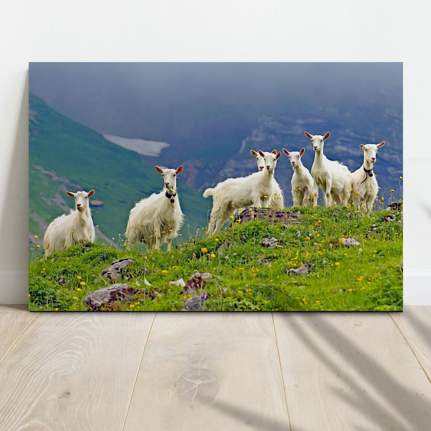 Attentive Mountain Goats  Canvas Wall Art