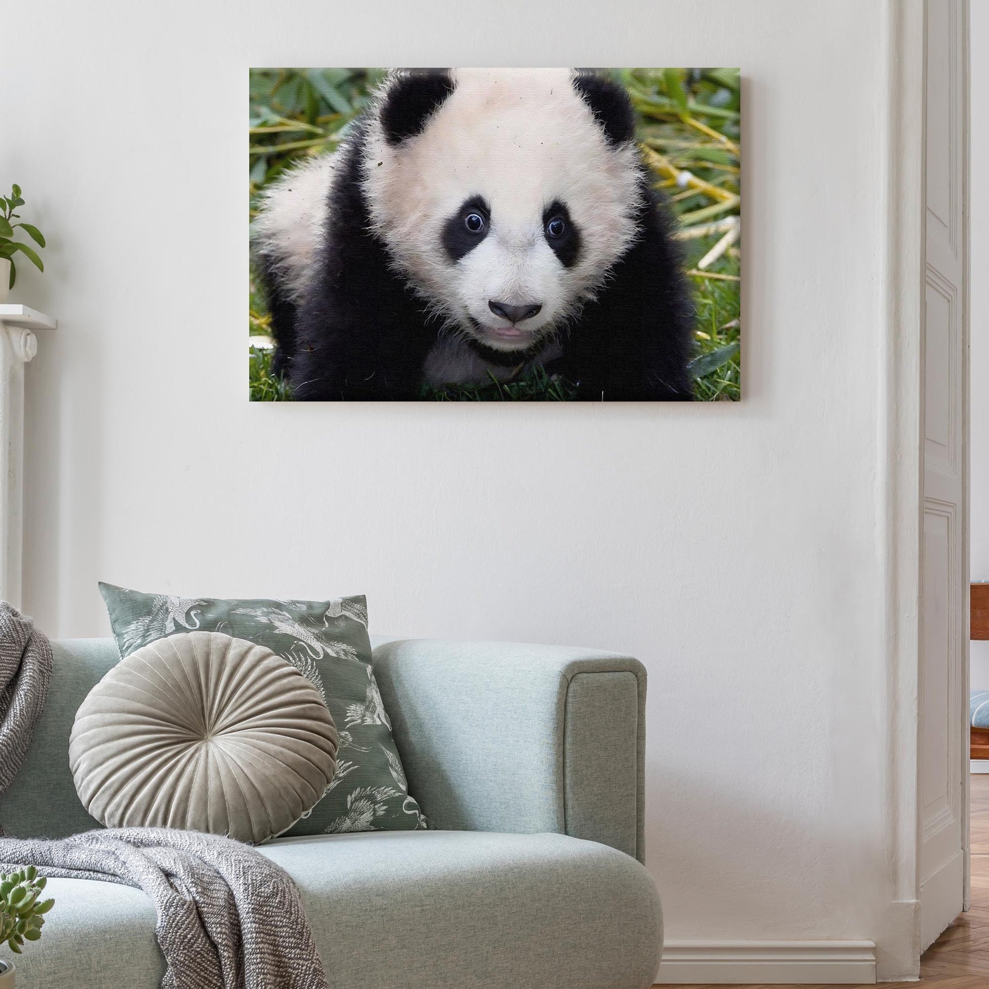 Surprised Panda in the Woods  Canvas Wall Art