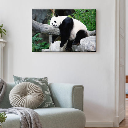 Lazy Day for a Panda  Canvas Wall Art in the Forest