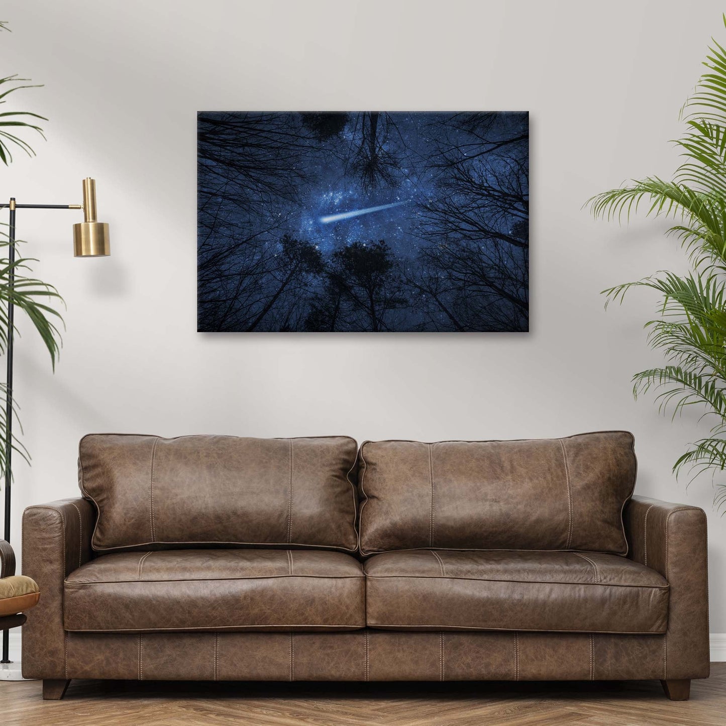 Night Sky Trail Comet Over Trees Canvas Wall Art