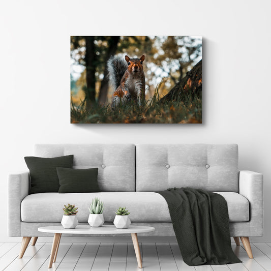 Wild Squirrel in the Forest  Canvas Wall Art