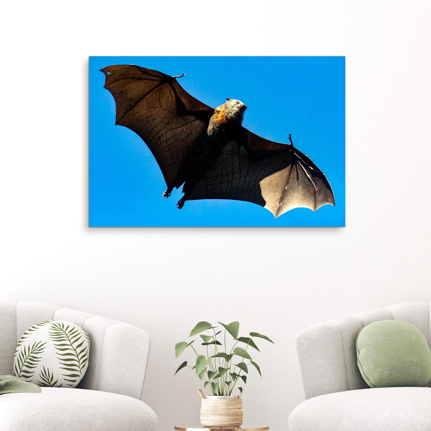 Aerial Bat in Its Natural Habitat Canvas