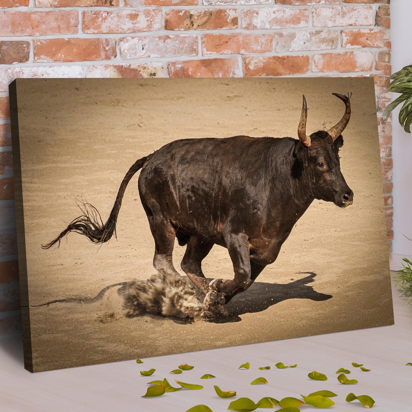 Bull Rush Charging Bull Canvas Wall Art