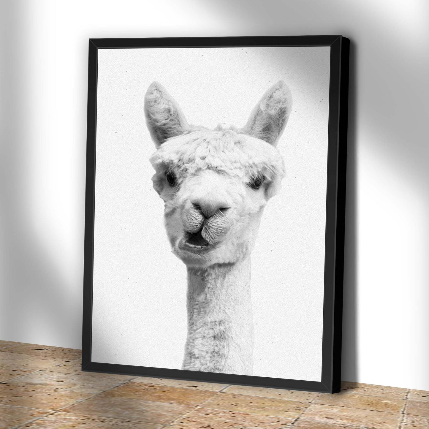 Alpaca Chew Time Black and White Portrait Canvas Wall Art