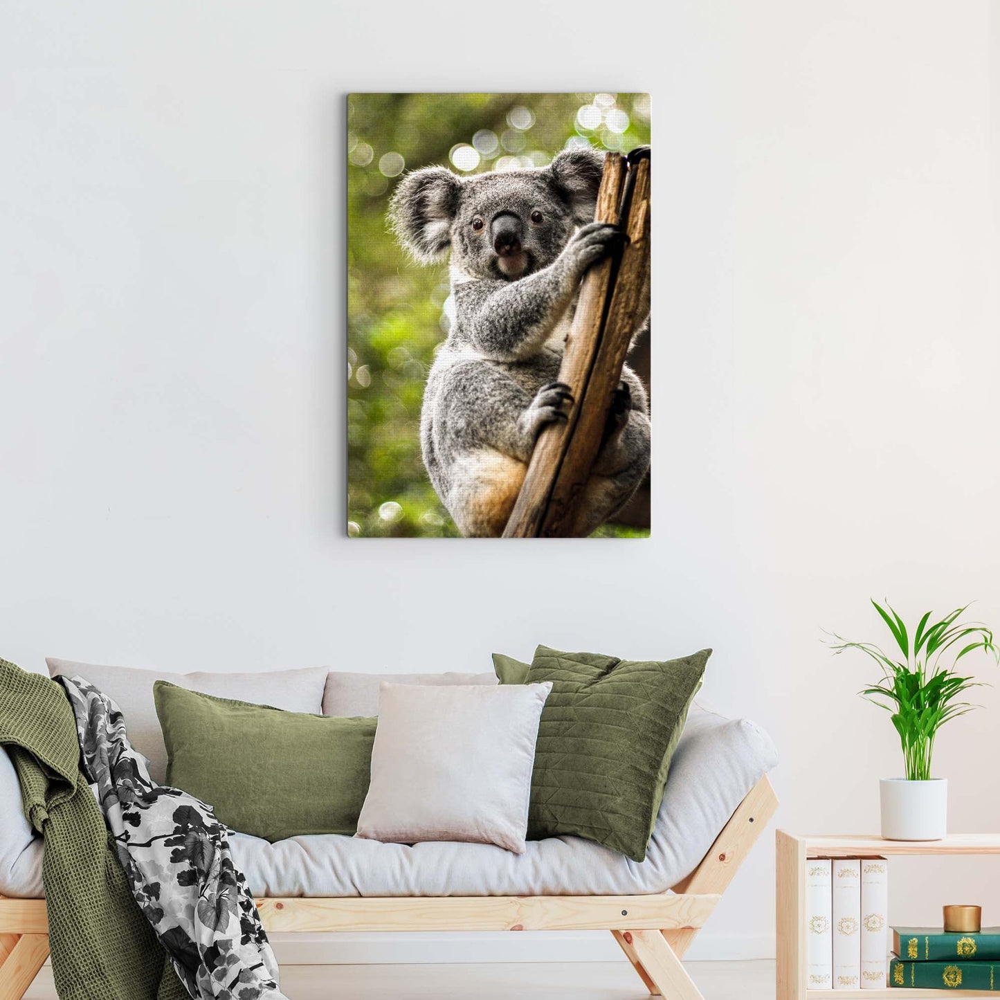Tree-Clinging Koala  Canvas Wall Art in the Forest
