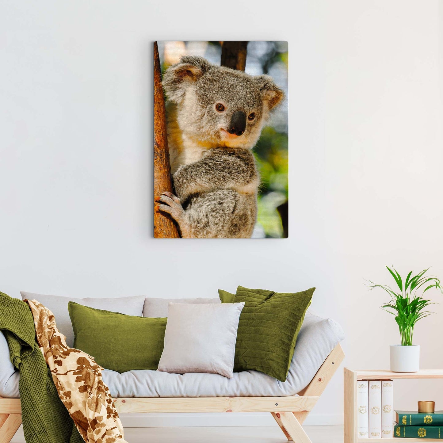 Photogenic Koala  Canvas Wall Art in the Forest