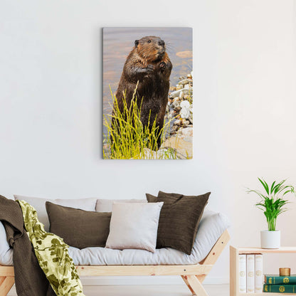 Beaver's Forest Haven Canvas Wall Art